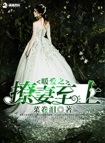 暖爱之撩妻至上 暖爱之撩妻至上